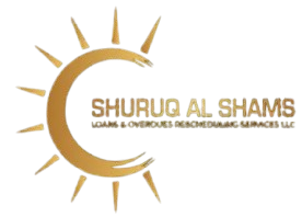 SAS Debt Consultants